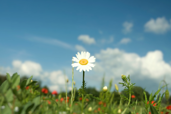 Aangepaste openingstijden lente